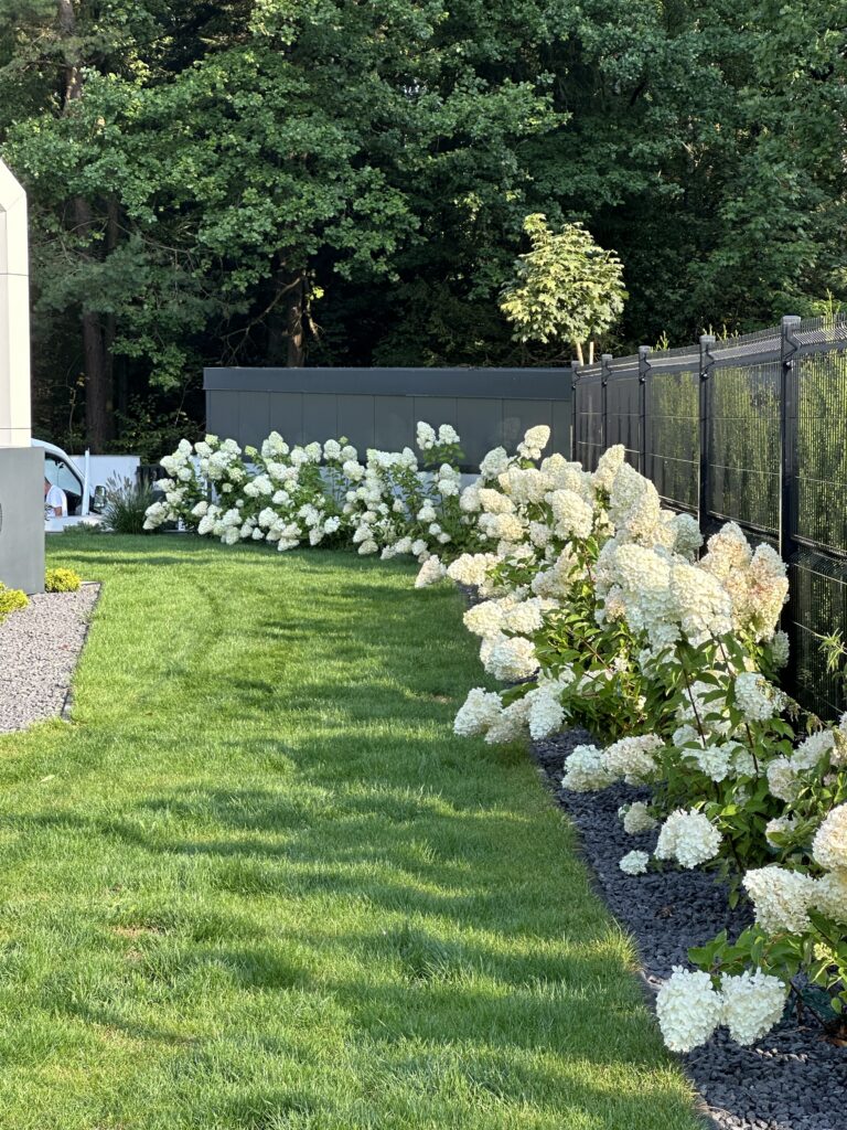 img 0613