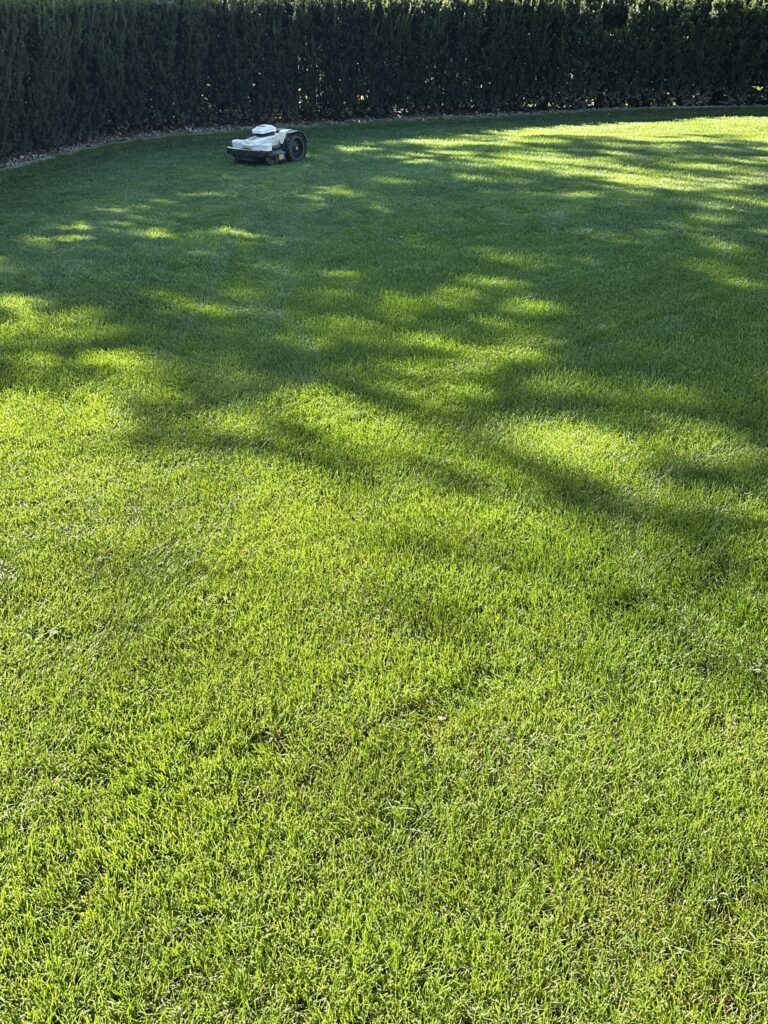 img 1446